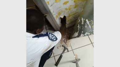 328260154_112096410_05499