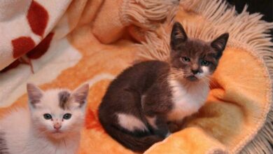 CassperandBean_03361