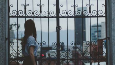 pexels-pixabay-3549_04950