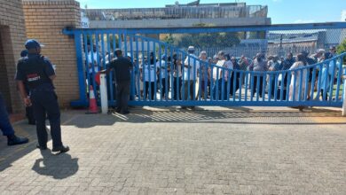 WhatsApp Image 2023-03-22 at 10.37.03 AM