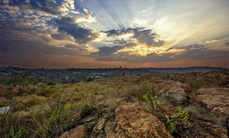 melville-koppies-by_21969