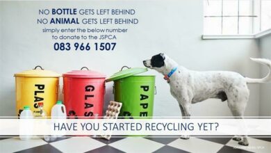 352413255_801381724_88896