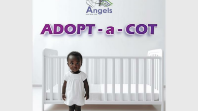 Adoptacot_v2copy_29340