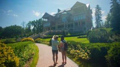 pexels-oleksandr-pi_54143