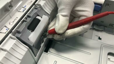 pexels-phi-pháº¡m-1_28949