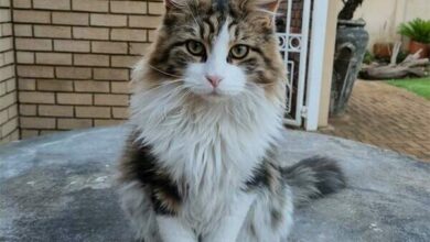 20220311_180756_49265