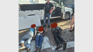 363282836_732655185_08636