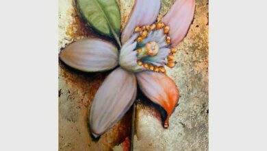 IMG-20230703-WA0008_13303