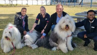 IMG-20230719-WA0002_37568