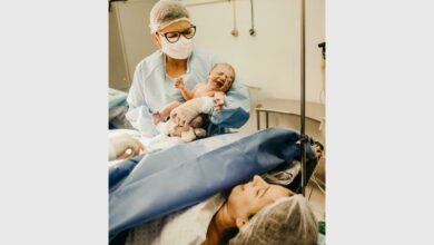 pexels-jonathan-bor_30913