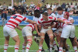 WhatsApp Image 2025-04-19 at 16.44.13