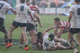 WhatsApp Image 2025-04-19 at 18.21.01