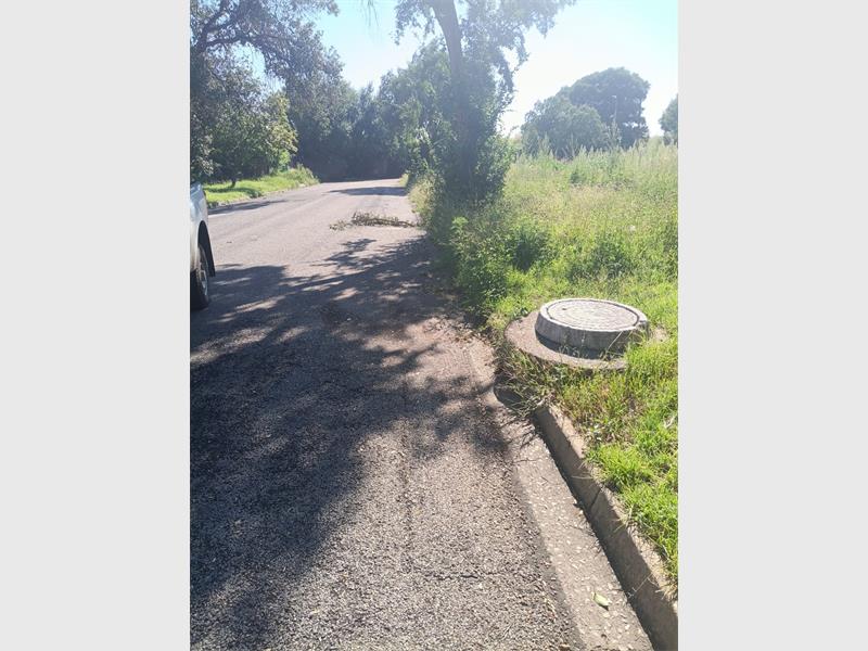 The City of Ekurhuleni has cleared the sewage in Theresa, Moler, Abel Moller and Holzgen streets, but grass cutting has not yet been done.