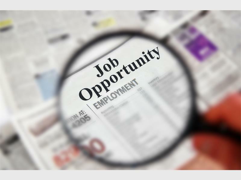 The employment programme comes to an end in March.