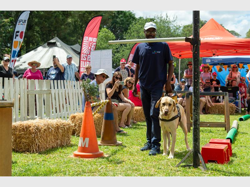 Guide Dogs provide life-changing support, but the journey requires patience, preparation and dedication from applicants to ensure a successful partnership.