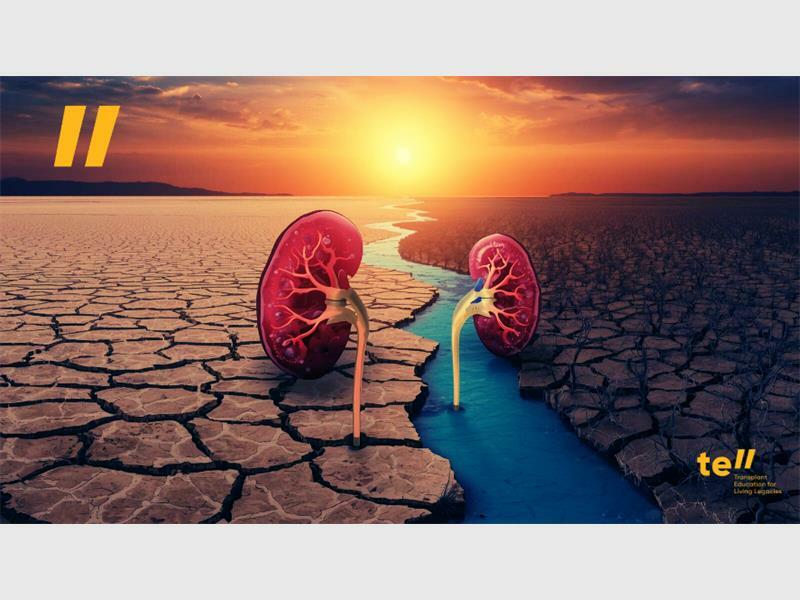 World Kidney Day in South Africa: Caring for people, protecting the planet, and beating the heat
