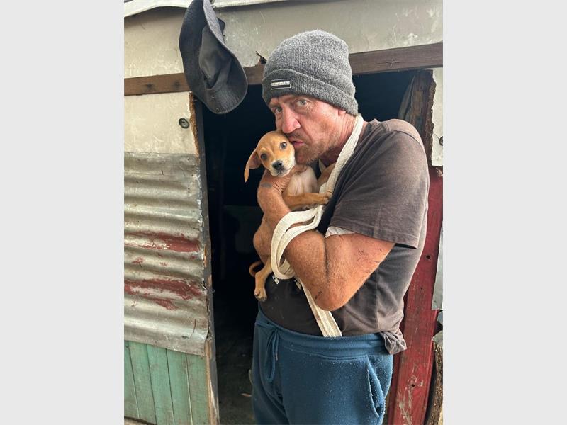 A Johannesburg man’s selfless concern for his puppy after a stabbing incident has highlighted the powerful bond between pets and their owners, with community groups stepping in to provide urgent care and support.