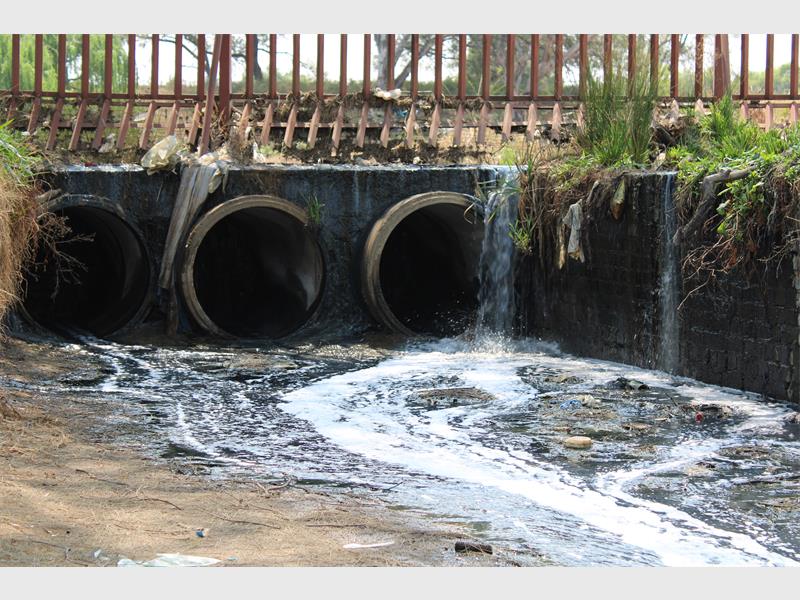 Municipal officials inspected infrastructure problems, investigated alleged by-law violations and assessed pollution concerns at Alberton Dam during a multidisciplinary operation on June 5.