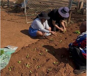 A Mandela Day partnership between The Kitchen Alchemist, ZISHAP, sponsors and volunteers saw 4,500 vegetable seedlings planted at a Katlehong community food garden, creating a lasting project that will improve food security and support people living with disabilities.