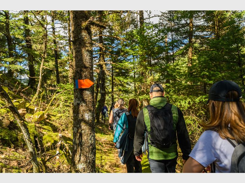 Join the hike, bring the family, support the cause and enjoy a day filled with sport, food, friendship and community spirit.