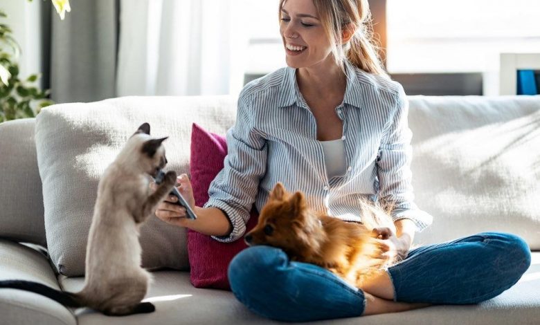 ElanaWagner-12-11-2021-pets-Costs.2