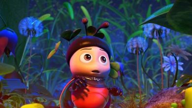 ladybugstill1_27344
