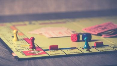 pexels-ylanite-kopp_26082