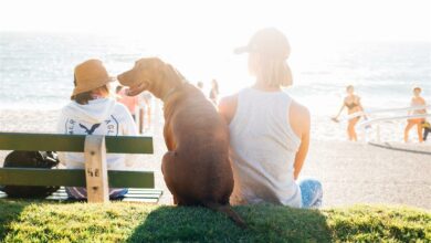 ElanaWagner-03-12-2021-Pets-BeachHoliday.2 (Medium)