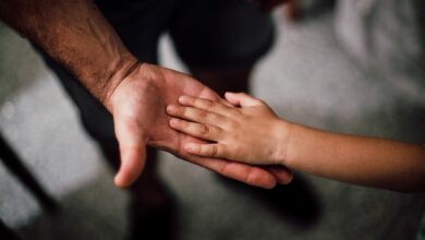 selective-focus-photography-of-child-hand-1250452