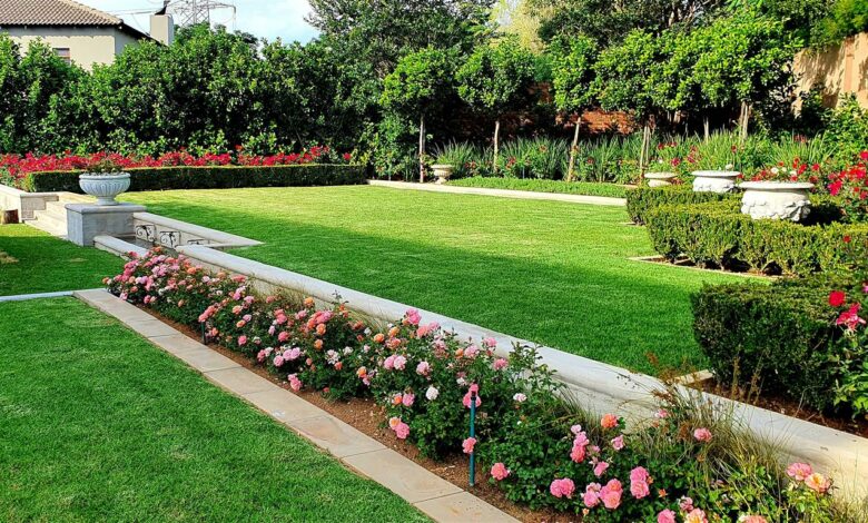 Alice Coetzee - 14-01-2022-gardening-roses photo 1 (Medium)