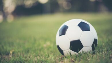 football-on-grass-field-in-the-park_1150-3945-Custom