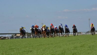 06horseracing1_33619