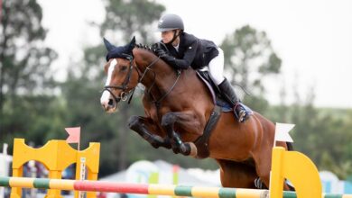 15horseracing_54710