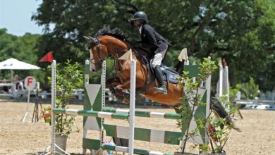 16equestrian(1)_33110