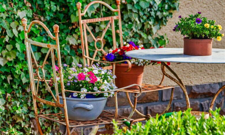 Alice Coetzee - 20-05-2022 - gardening - container gardening photo 1 (Medium)