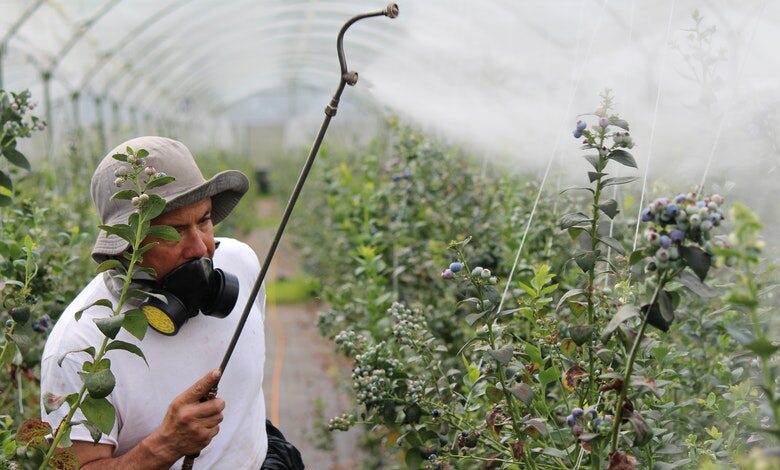 bug busters for garden