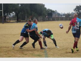 IMG_6233_27263