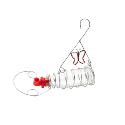 Alice Coetzee - 15-07-2022-gardening - birds- photo 5