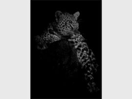 BestMonoSeniorImage_97981
