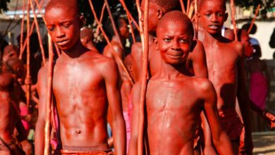 BestOpenColourJunio_61208