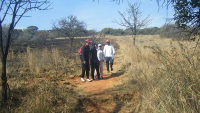 burntgrassland_36881