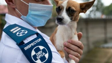 CopyofHelpUsRea_83031