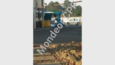 557d14e0-afc2-4115-_34528