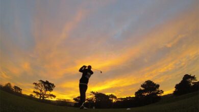 PhotobyDavidGoldsbu_74890