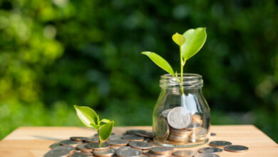 Saving money concept.