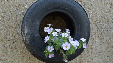 tire-974023_960_720_96487