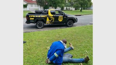 317966677_584021573_56589