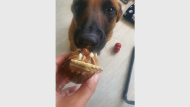 331060629_591357749_14141