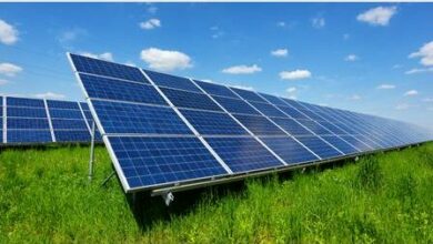 solarpanels_20169