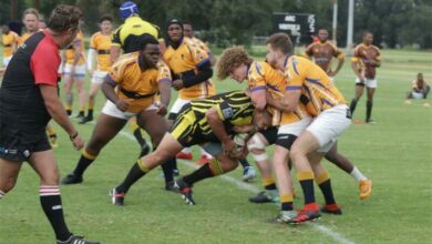 338153999_121004636_12416